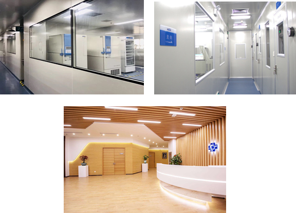 凈化工程案例 凈化工程案例