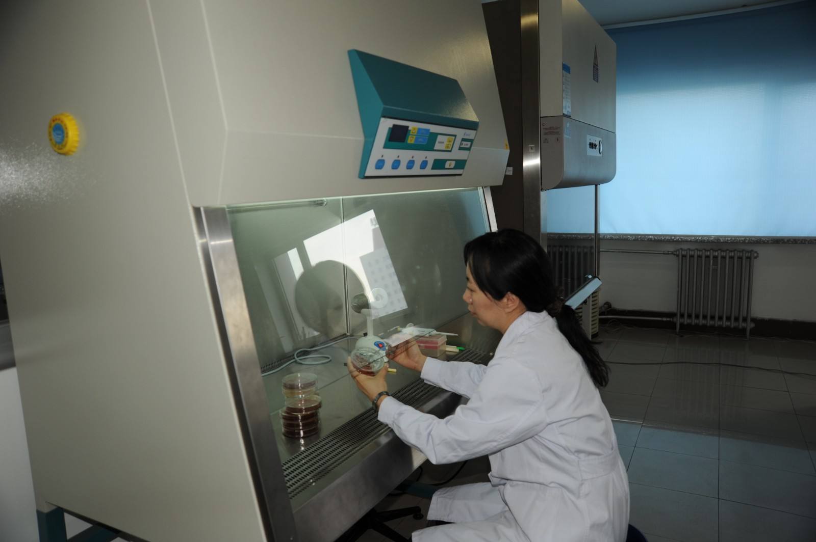 微生物無菌實驗室建設(shè)要點